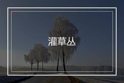 灌草丛