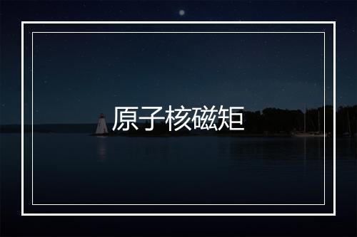 原子核磁矩