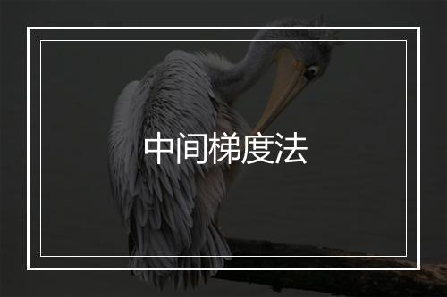 中间梯度法