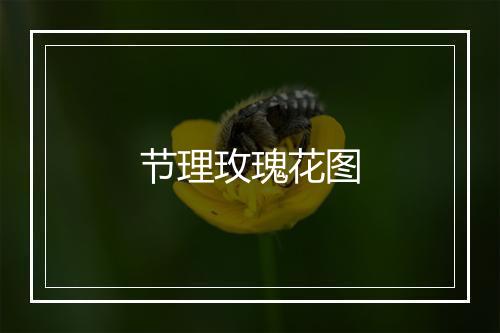 节理玫瑰花图