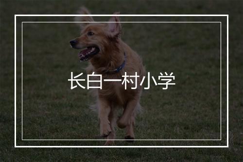 长白一村小学