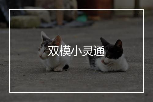 双模小灵通