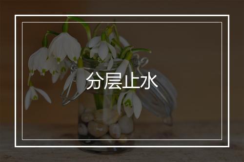 分层止水