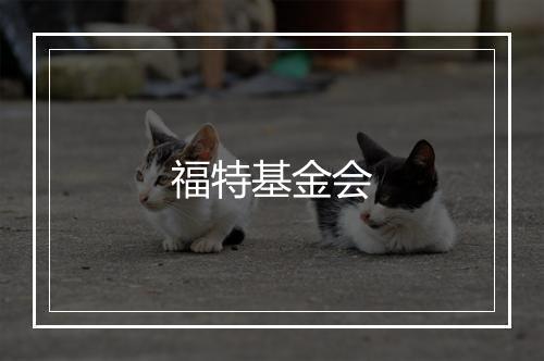 福特基金会