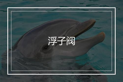 浮子阀