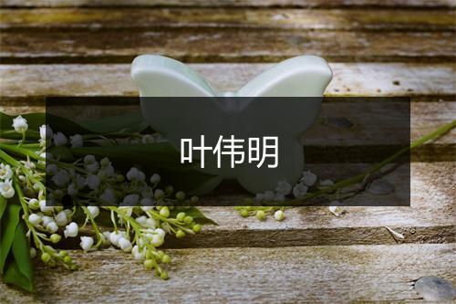 叶伟明