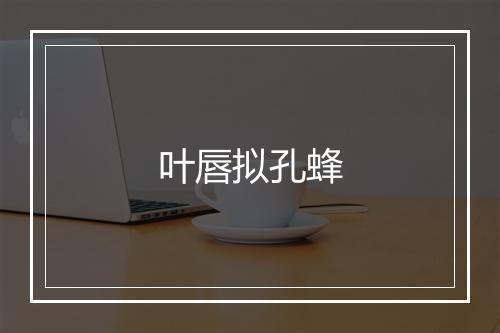 叶唇拟孔蜂