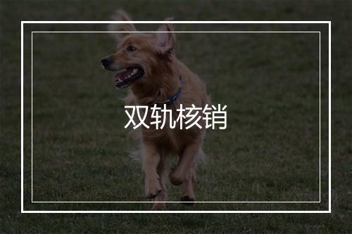 双轨核销