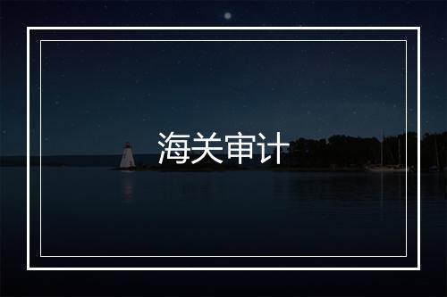 海关审计