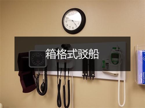 箱格式驳船