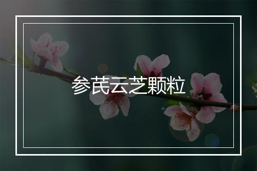 参芪云芝颗粒