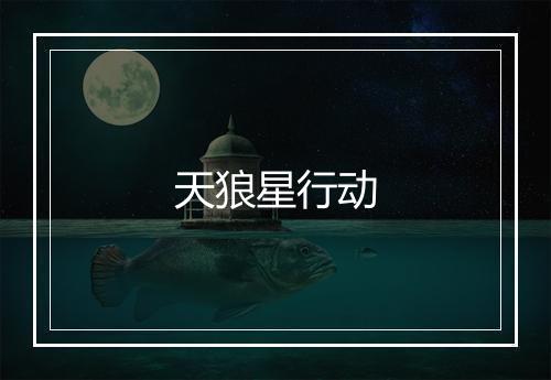 天狼星行动