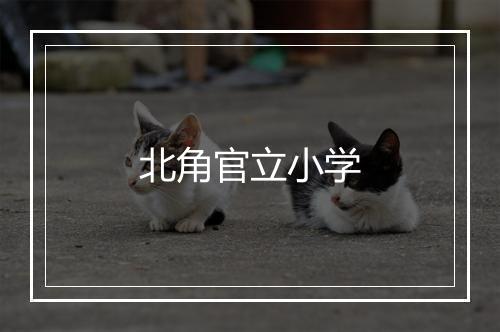 北角官立小学