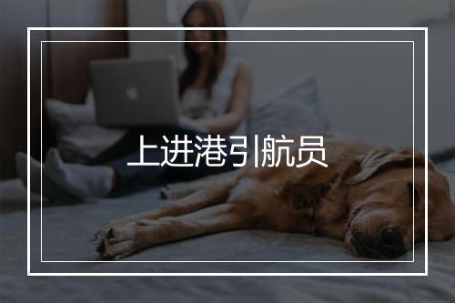 上进港引航员