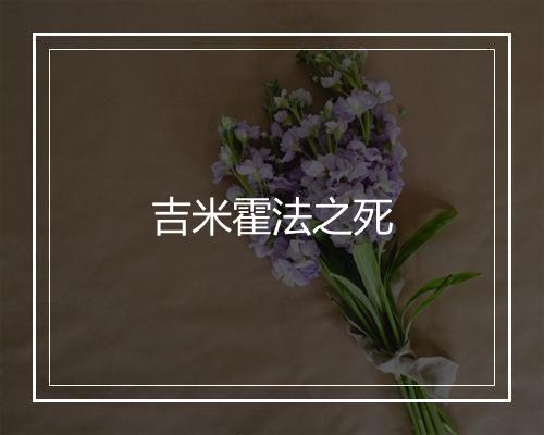 吉米霍法之死