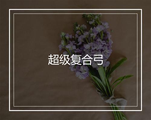 超级复合弓