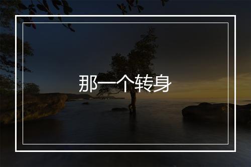 那一个转身