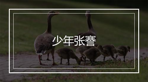 少年张謇