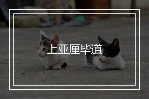 上亚厘毕道