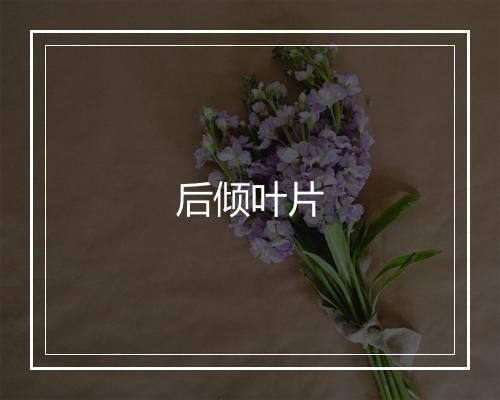 后倾叶片