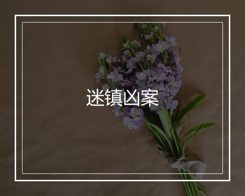 迷镇凶案