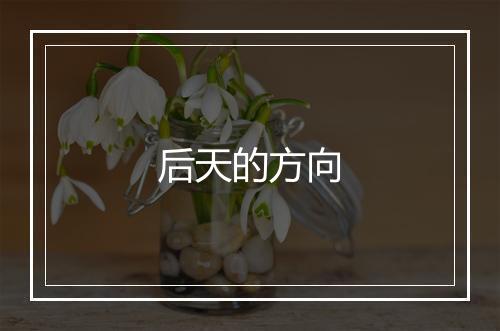 后天的方向