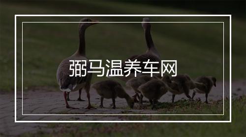 弼马温养车网