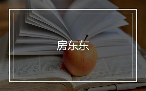 房东东