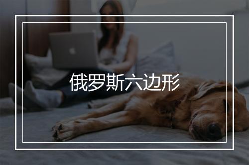 俄罗斯六边形