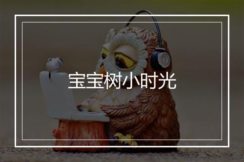 宝宝树小时光