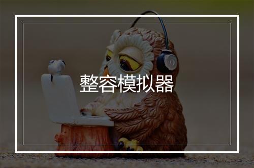 整容模拟器