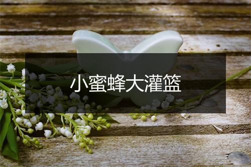 小蜜蜂大灌篮