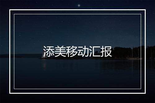 添美移动汇报