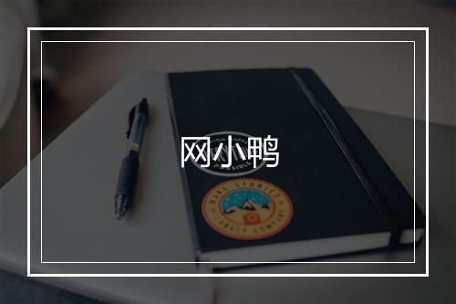 网小鸭