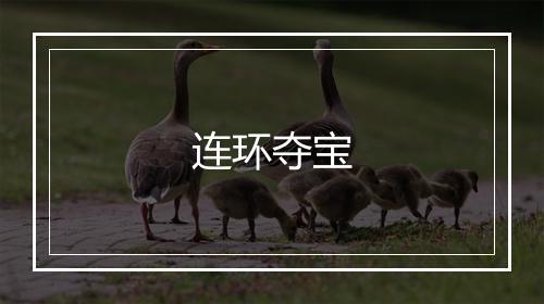 连环夺宝