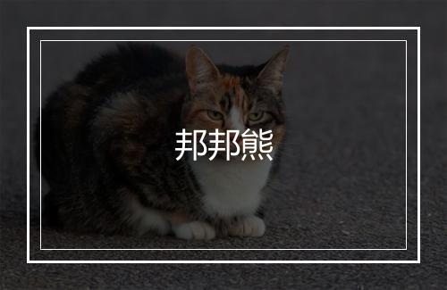 邦邦熊