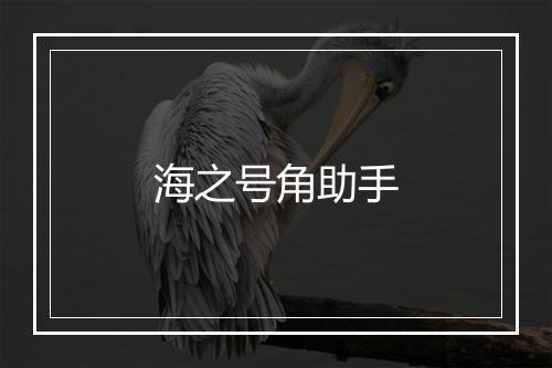 海之号角助手