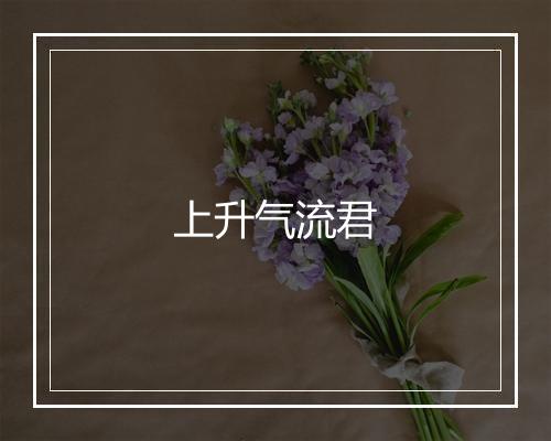 上升气流君