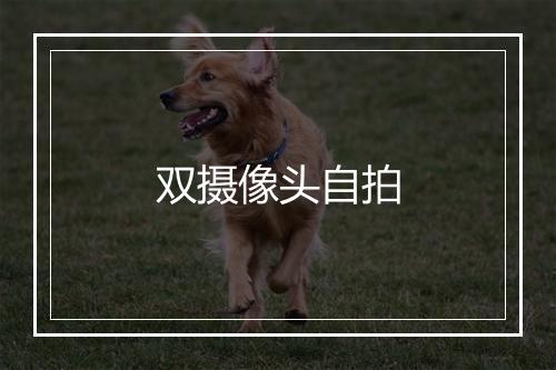 双摄像头自拍