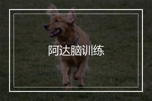 阿达脑训练