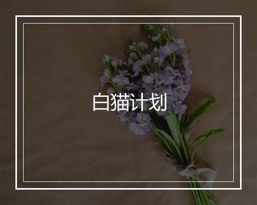 白猫计划