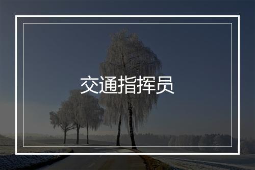 交通指挥员