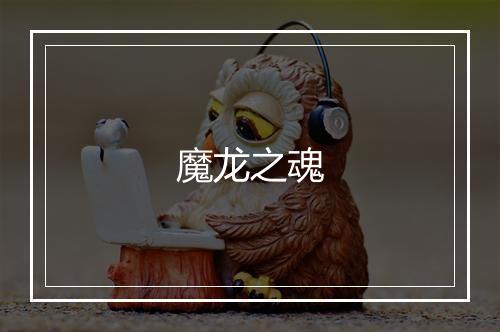 魔龙之魂