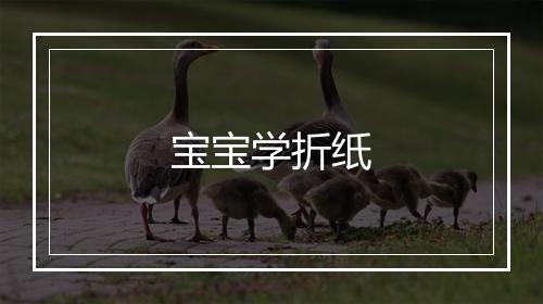 宝宝学折纸