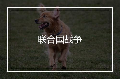 联合国战争