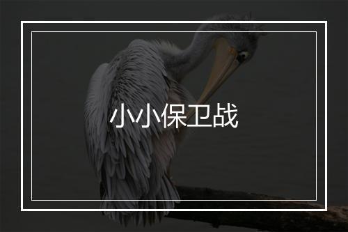 小小保卫战