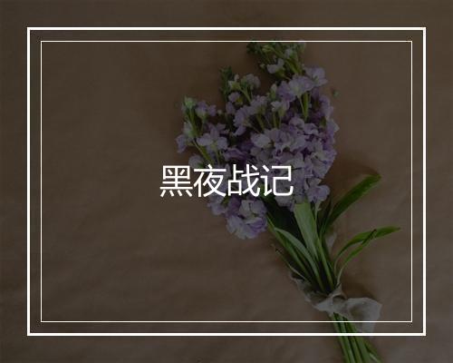 黑夜战记