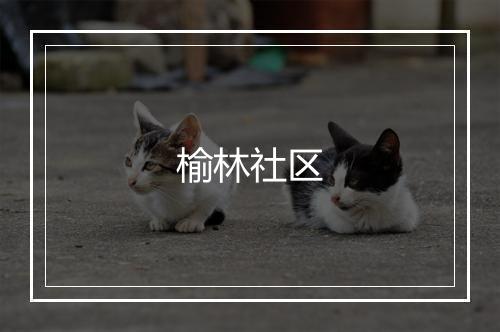 榆林社区