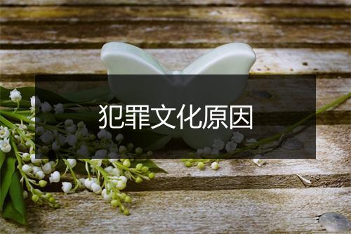 犯罪文化原因