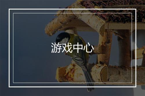 游戏中心